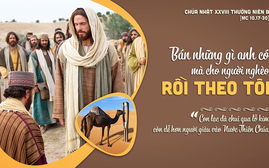 Chúa Nhật 28 TN – Đừng Thiện Chí Nửa Vời