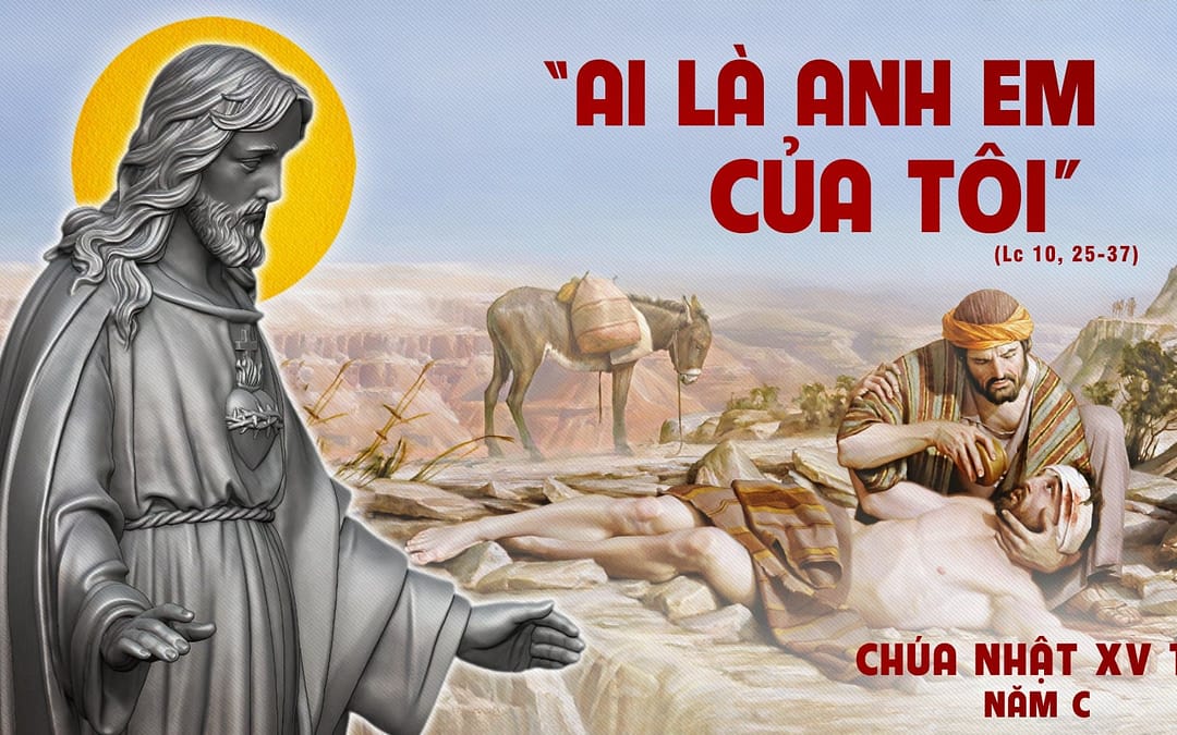 Chúa Nhật 15 TN – Nhân hậu là biết thương xót