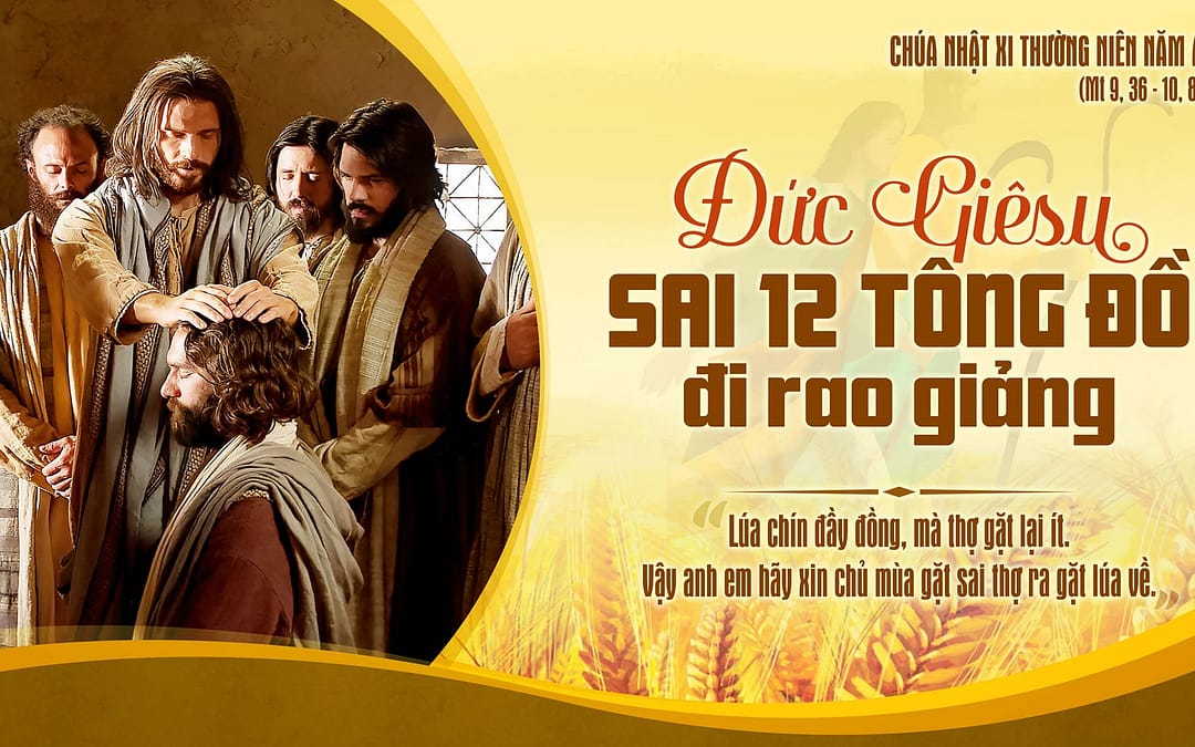 Chúa Nhật 11 TN – Xin ban thêm nhiều thợ gặt