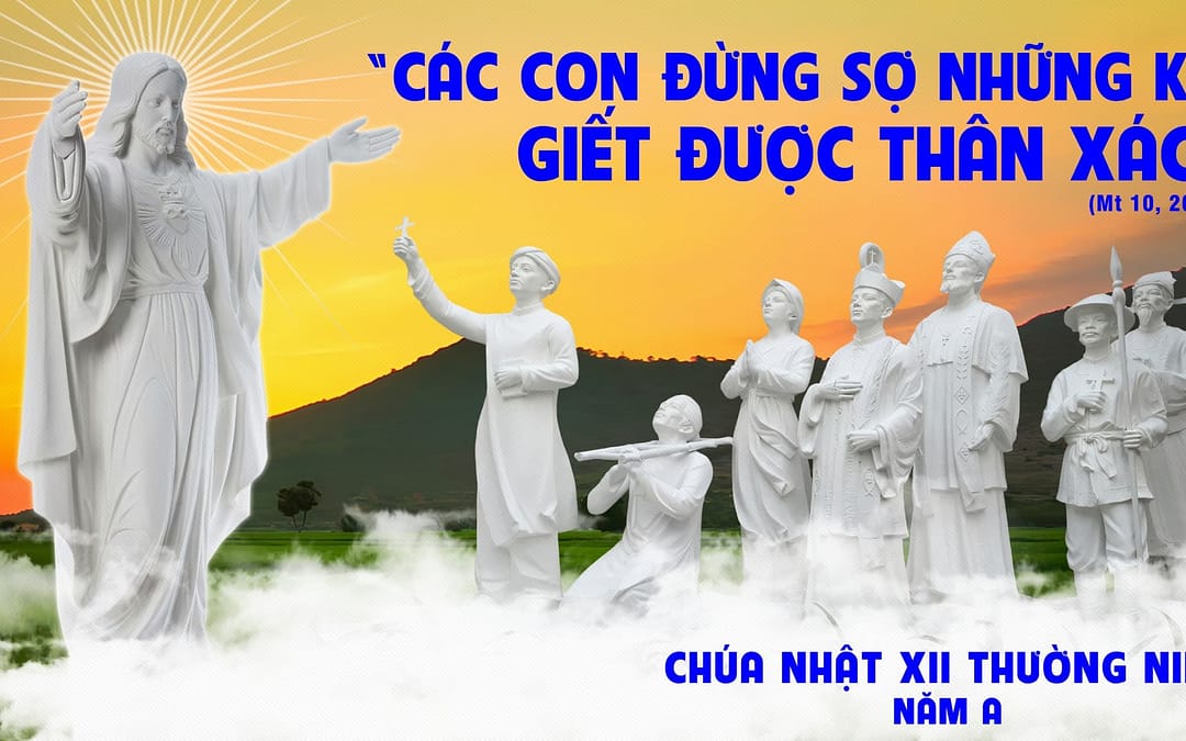 Chúa Nhật 12 TN – Đừng sợ