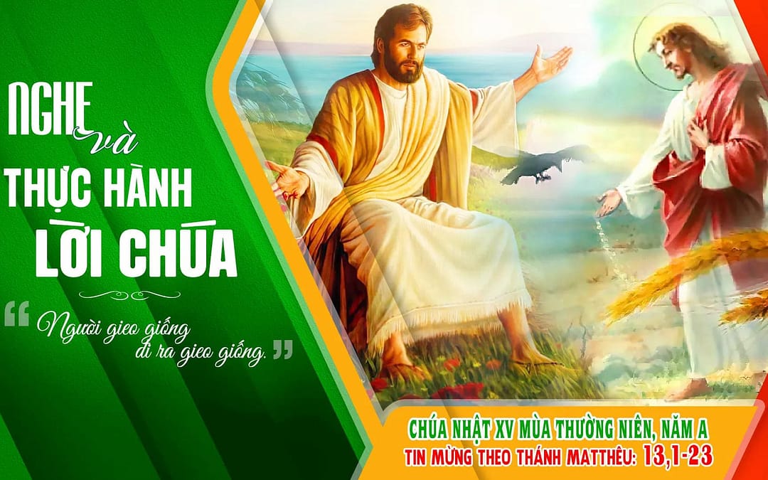 Chúa Nhật 15 TN – Trở nên đất tốt