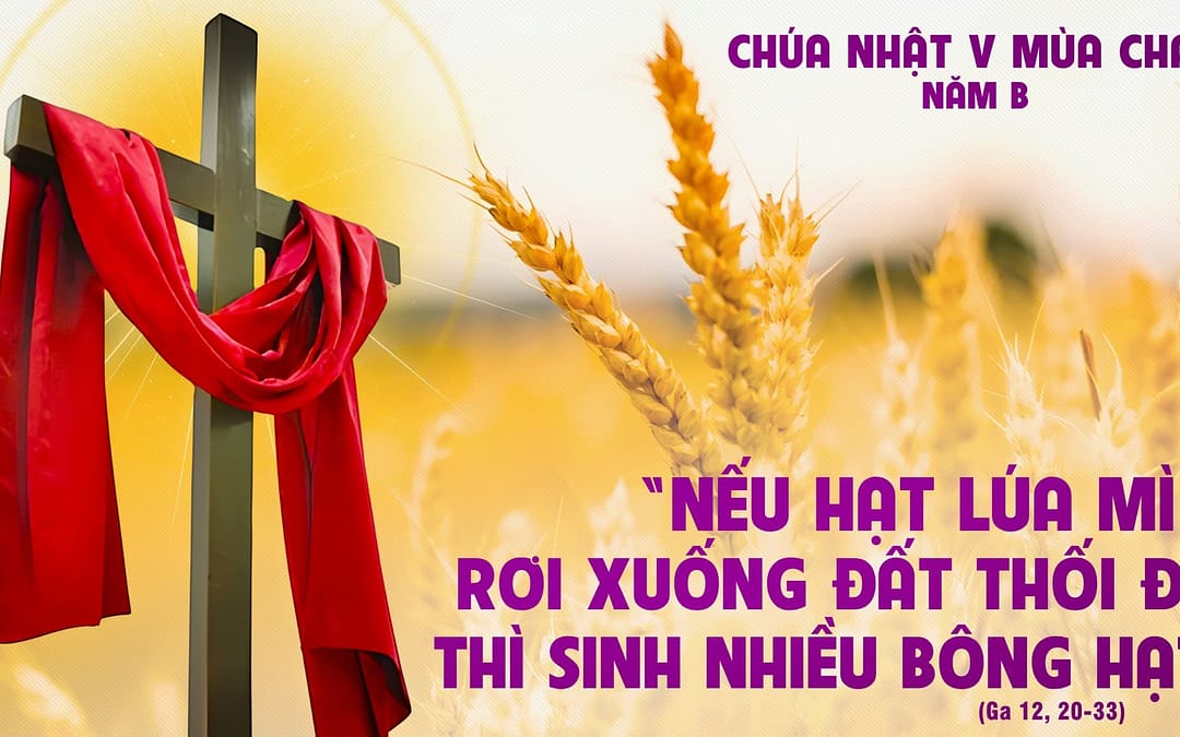 Chúa Nhật 3 MC – Để sinh nhiều hoa trái