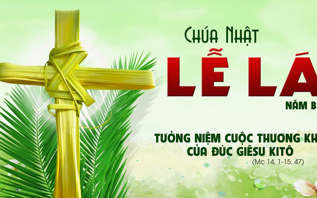 Chúa Nhật Lễ Lá – Ánh sáng và bóng tối