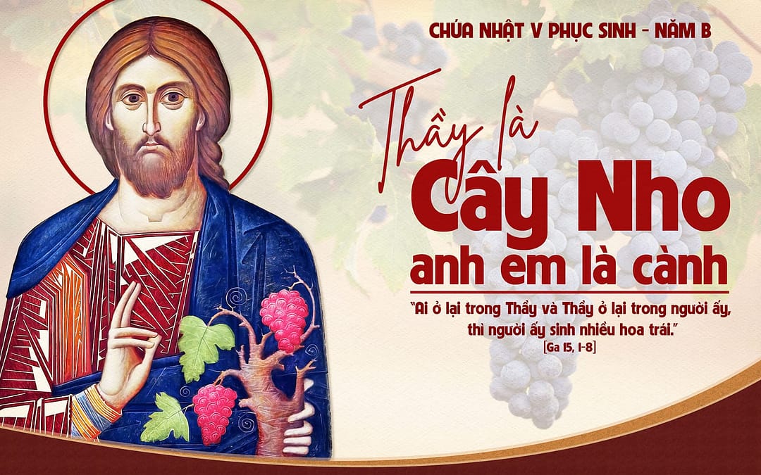 Chúa Nhật 5 PS – Hoa trái tốt lành