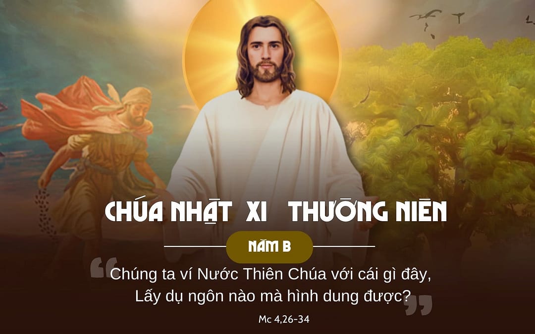 Chúa Nhật 11 TN – Nước trời lớn mạnh