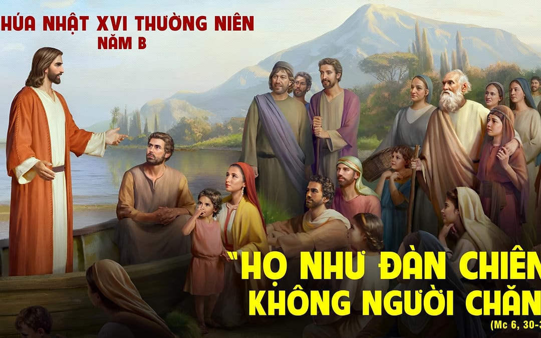 Chúa Nhật 16 TN – Chúa chạnh lòng thương