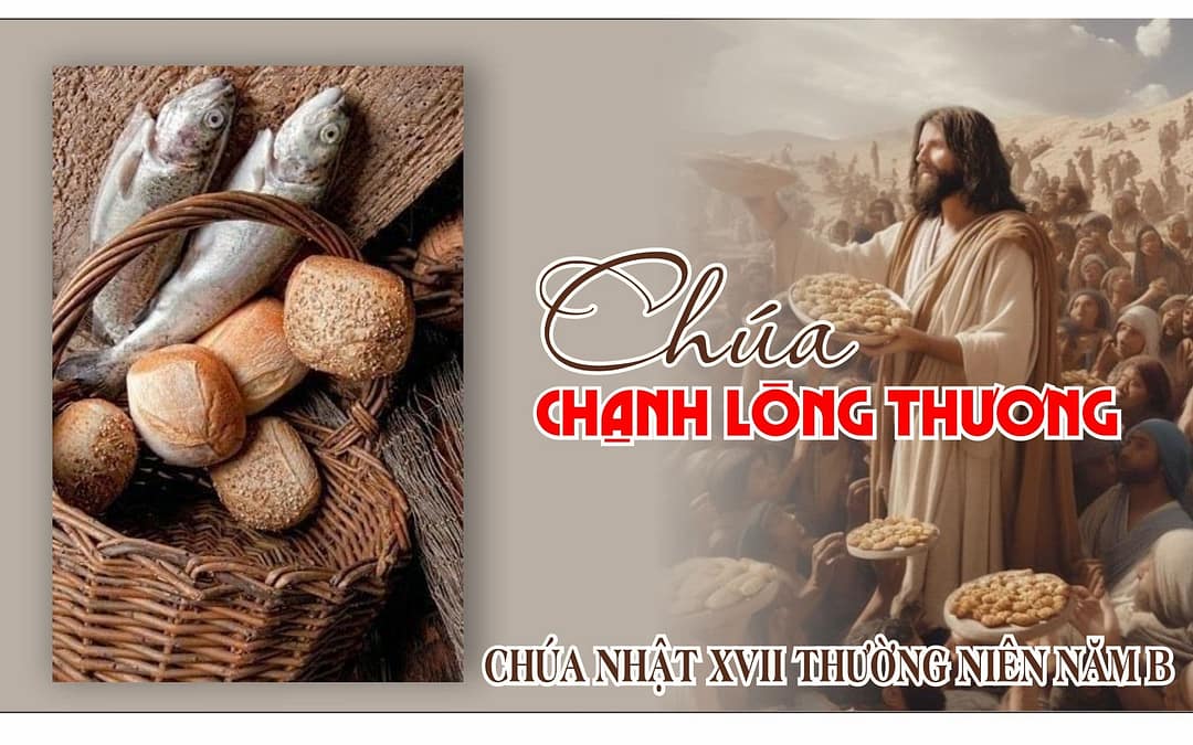 Chúa Nhật 17 TN – Liên đới tạo ra phép lạ