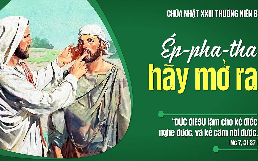 Chúa Nhật 23 TN – Cây tốt sinh quả tốt