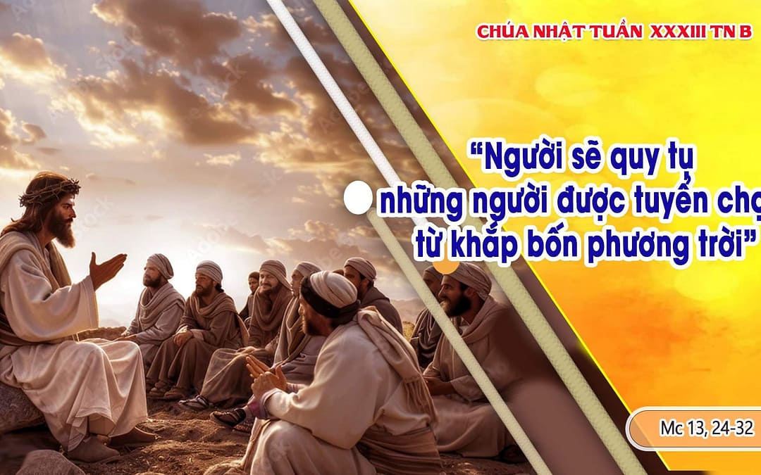 Chúa Nhật 33 TN – Niềm Vui Và Hy Vọng Lớn Lao