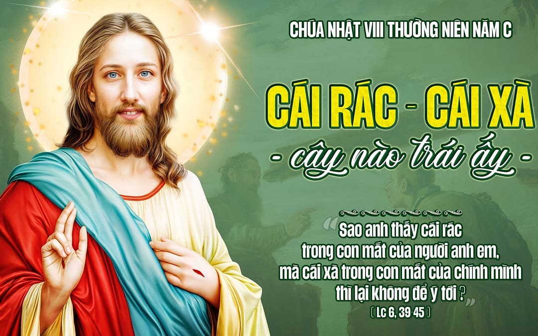 Chúa Nhật 8 TN – Chữ Tâm Hay Chữ Tài