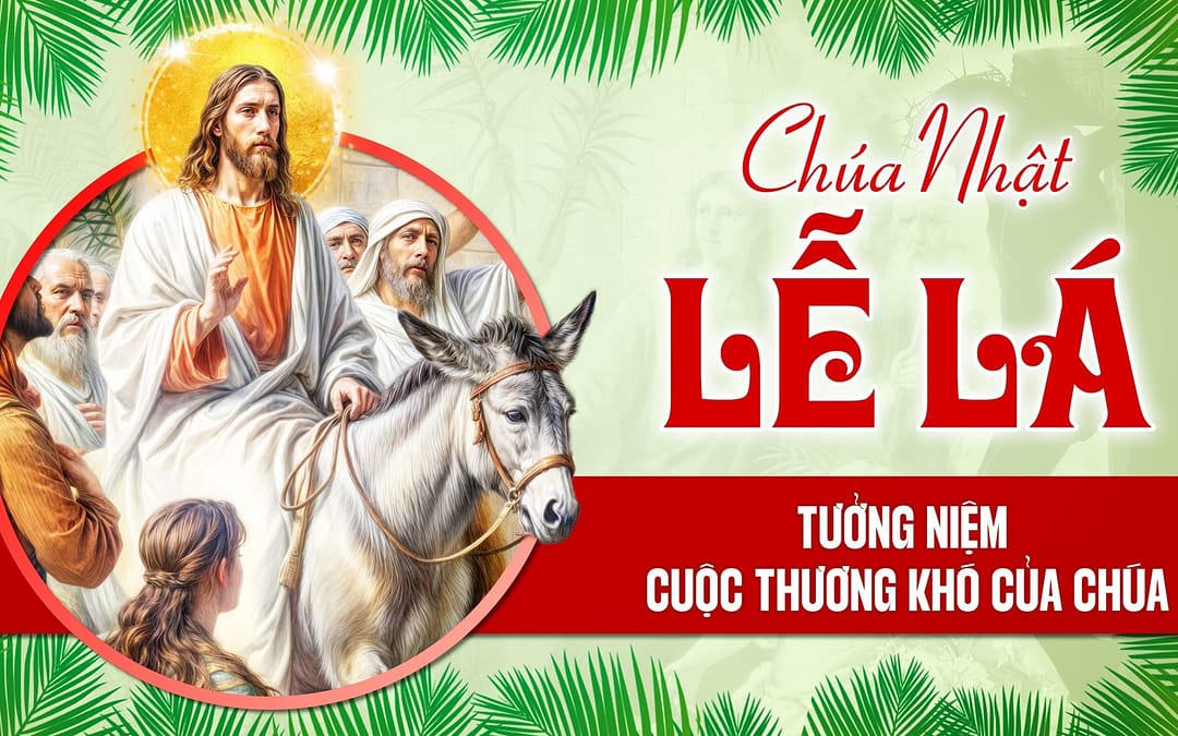 Chúa Nhật Lễ Lá – Ánh Sáng Của Lòng Xót Thương