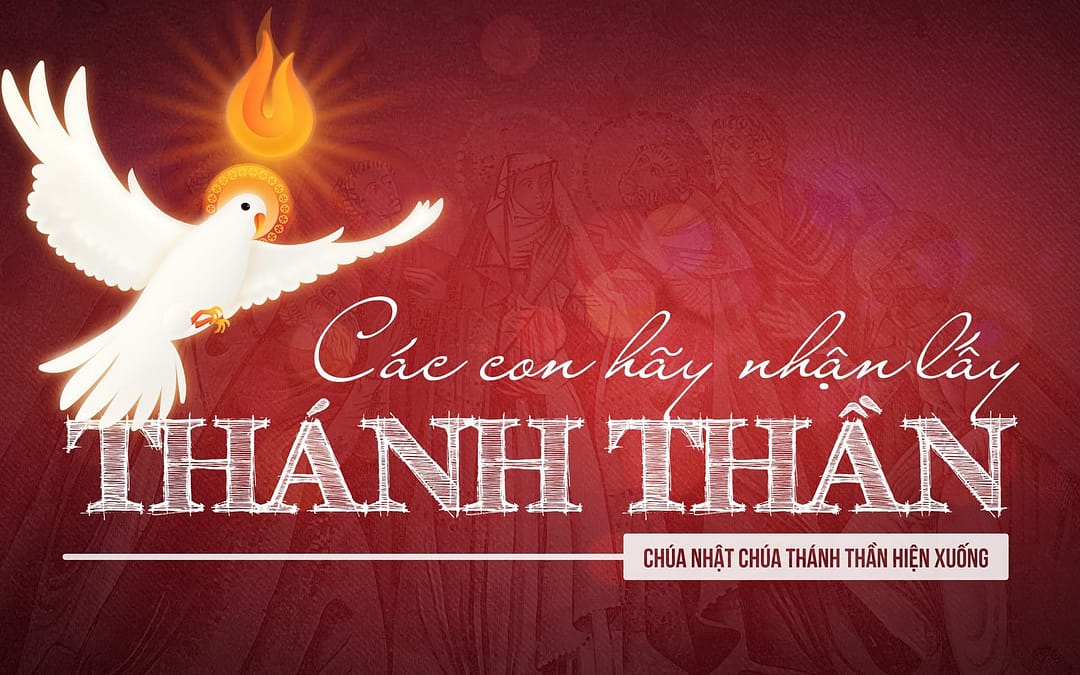 Chúa Nhật 8 PS – Tự Hủy Để Đầy Tràn Thánh Thần
