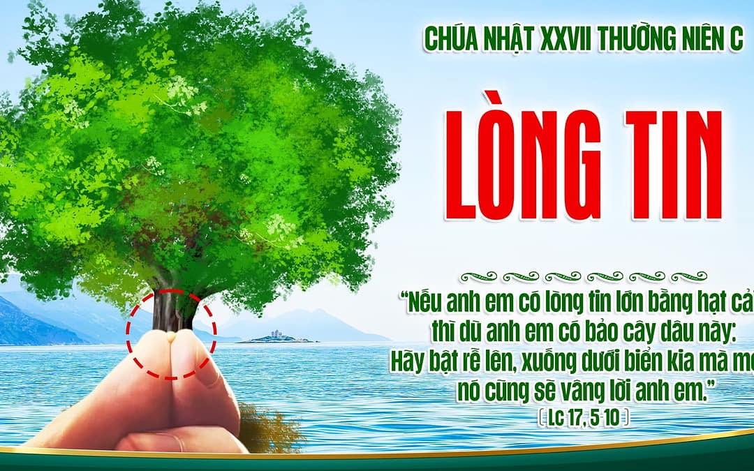 Chúa Nhật 27 TN – Lòng Tin